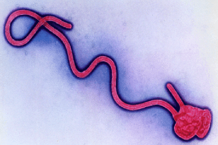 s630_Ebola-800dpi